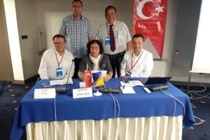 Chronic Hepatitis Infection Academy Sarajevo-2019