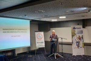 Chronic Hepatitis Infection Academy Sarajevo-2019