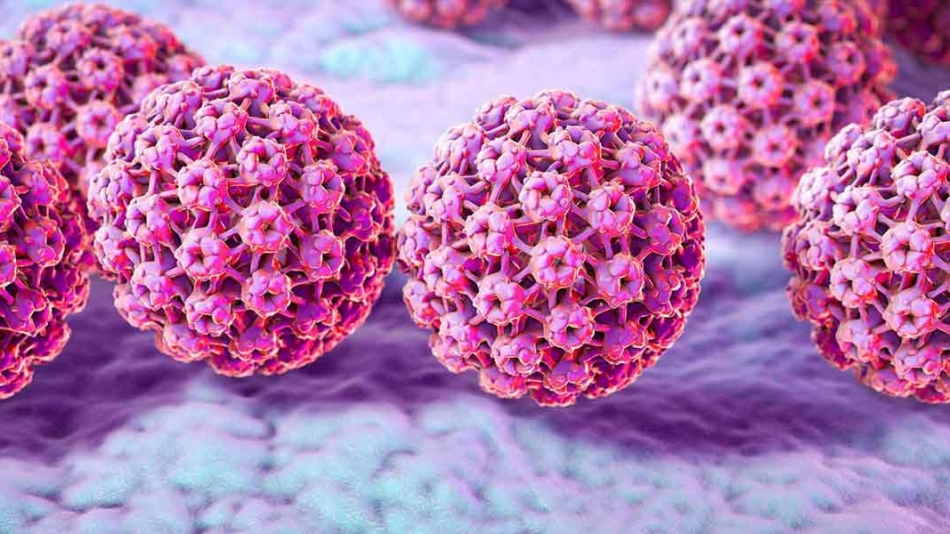 Human Papillomavirus (HPV)