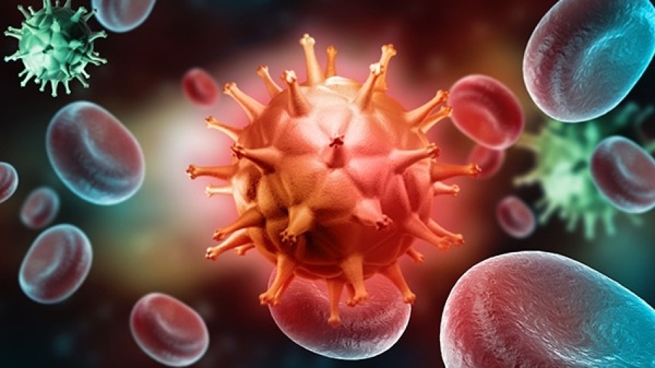 Viral Hepatitler